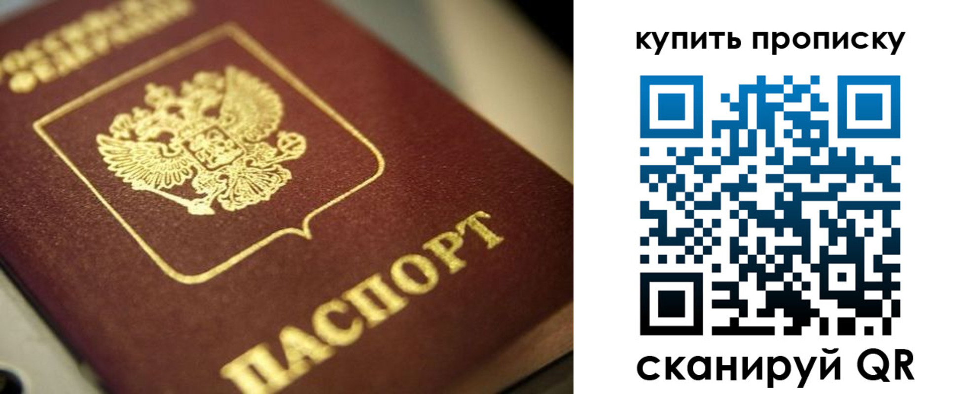 прописка поиск в Кодинске